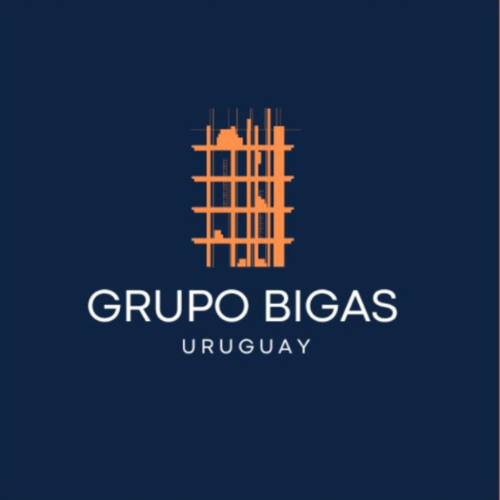 logo grupo bigas png 2024